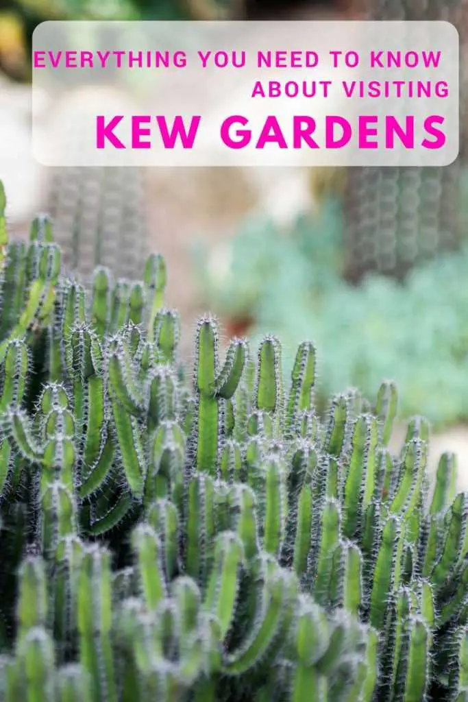 visit kew gardens london