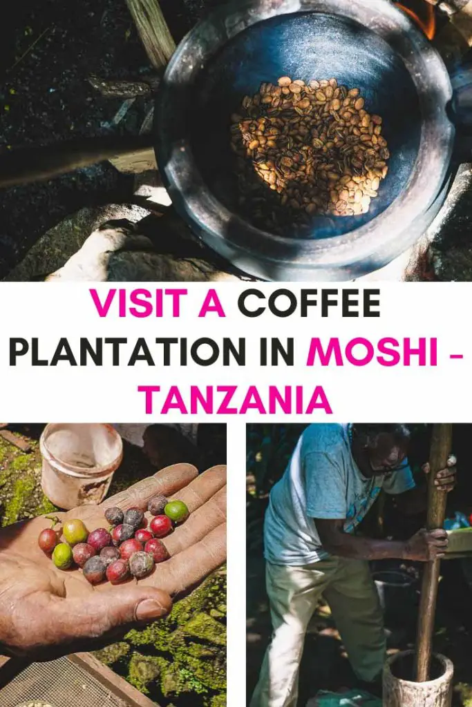 Coffee tour in Moshi